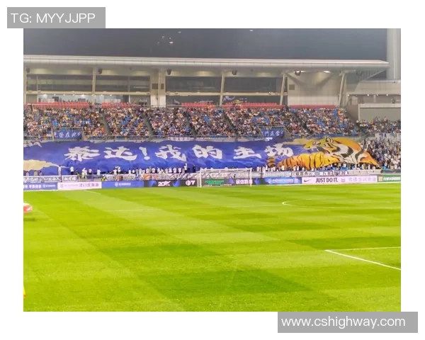 贵州恒丰智诚迎战天津泰达亿利争夺中超联赛关键三分之战